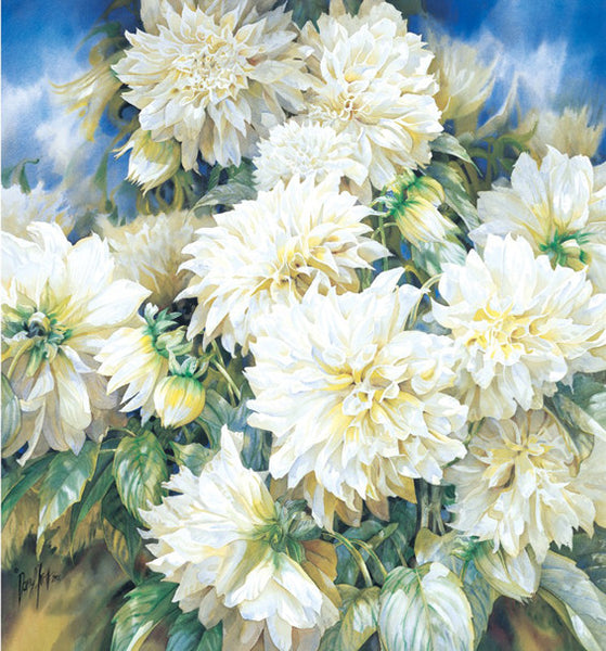 Dazzling Dahlias
