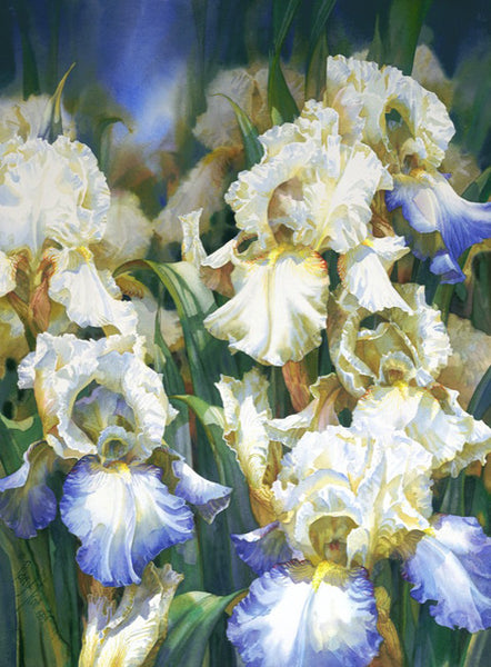 Iris Glade
