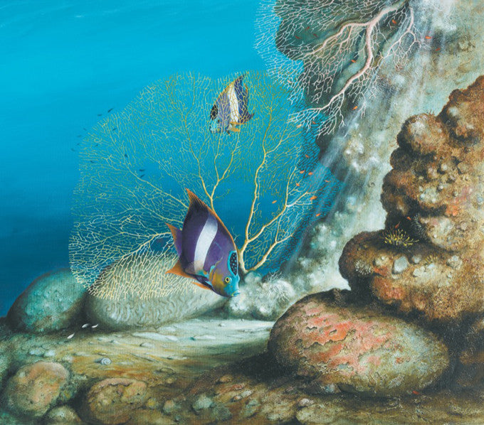 Reef Dwellers