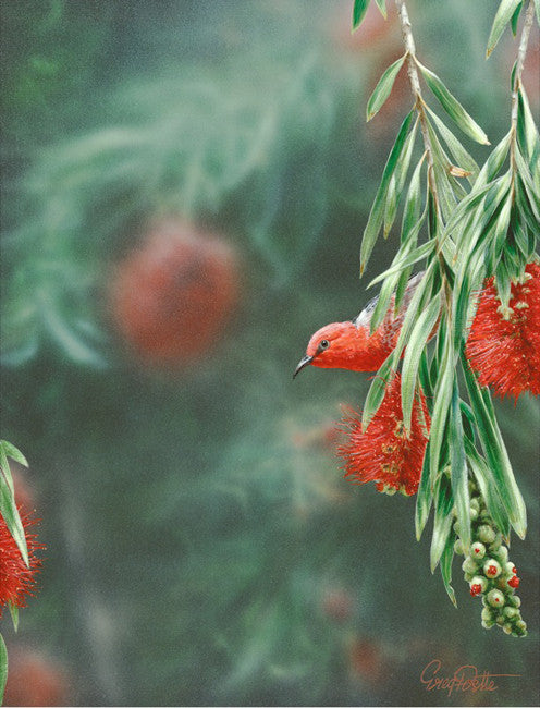 Deep Red