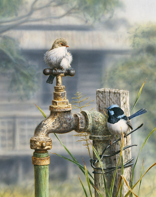 Water Restrictions