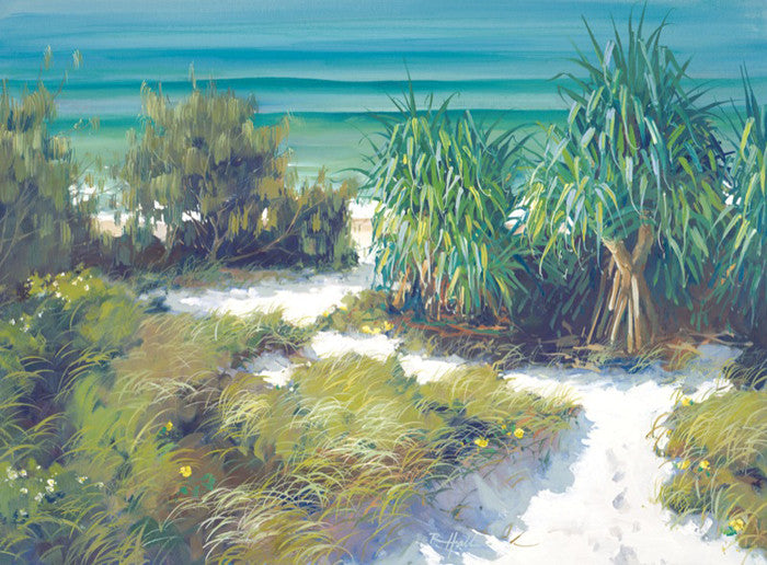 Salt Air In Spring