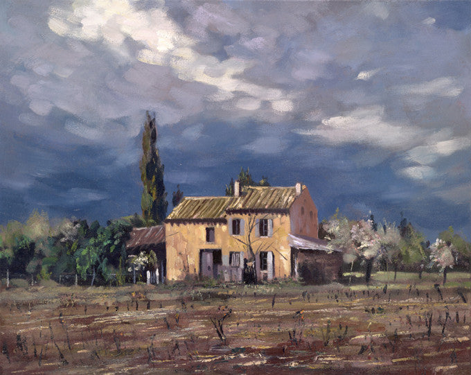 House In The Vineyard