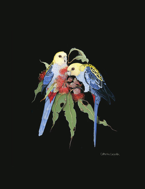 Pale Headed Rosellas