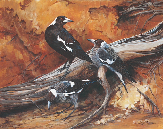 Magpie Moment