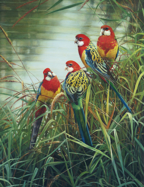 River Revellers