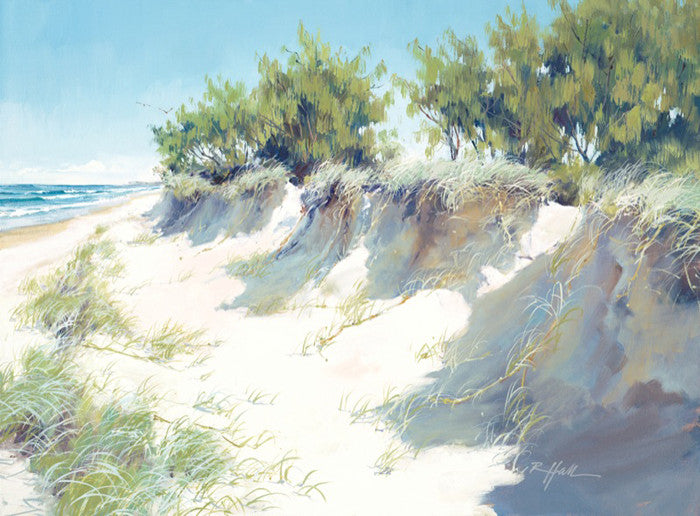 Shadow On The Dunes